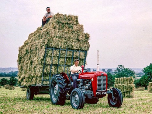 Vintage massey ferguson - vintage,